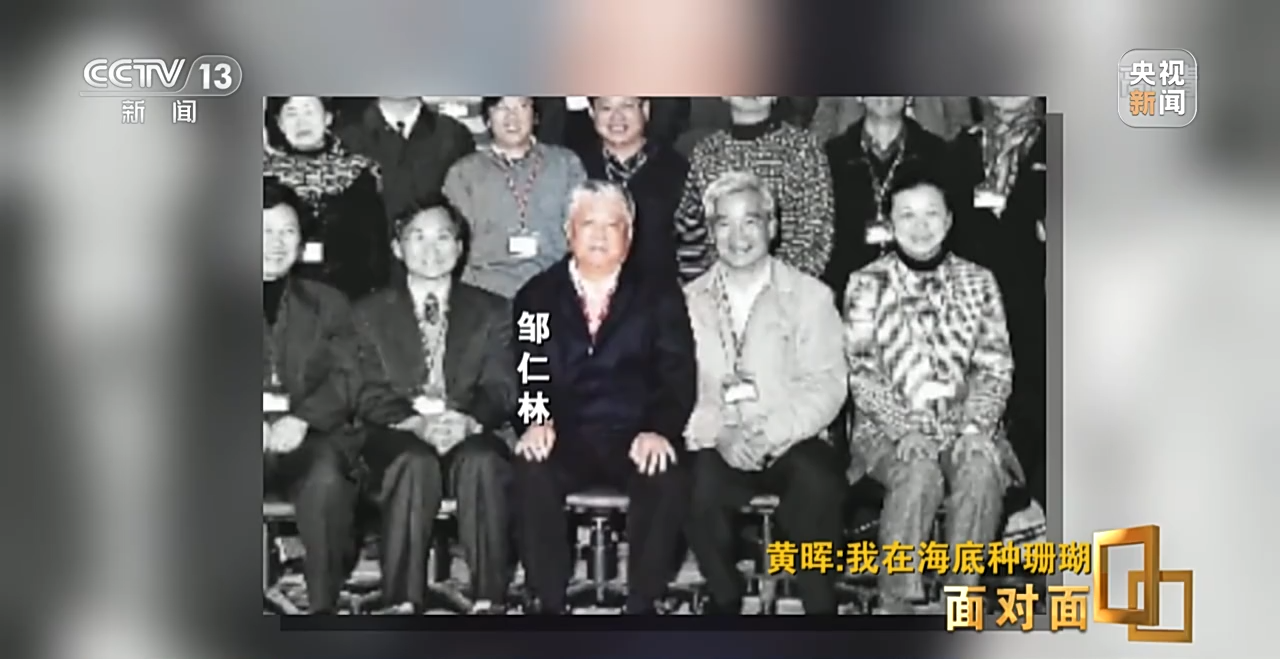 面對(duì)面丨“珊瑚媽媽”黃暉:種出一片“海底森林”