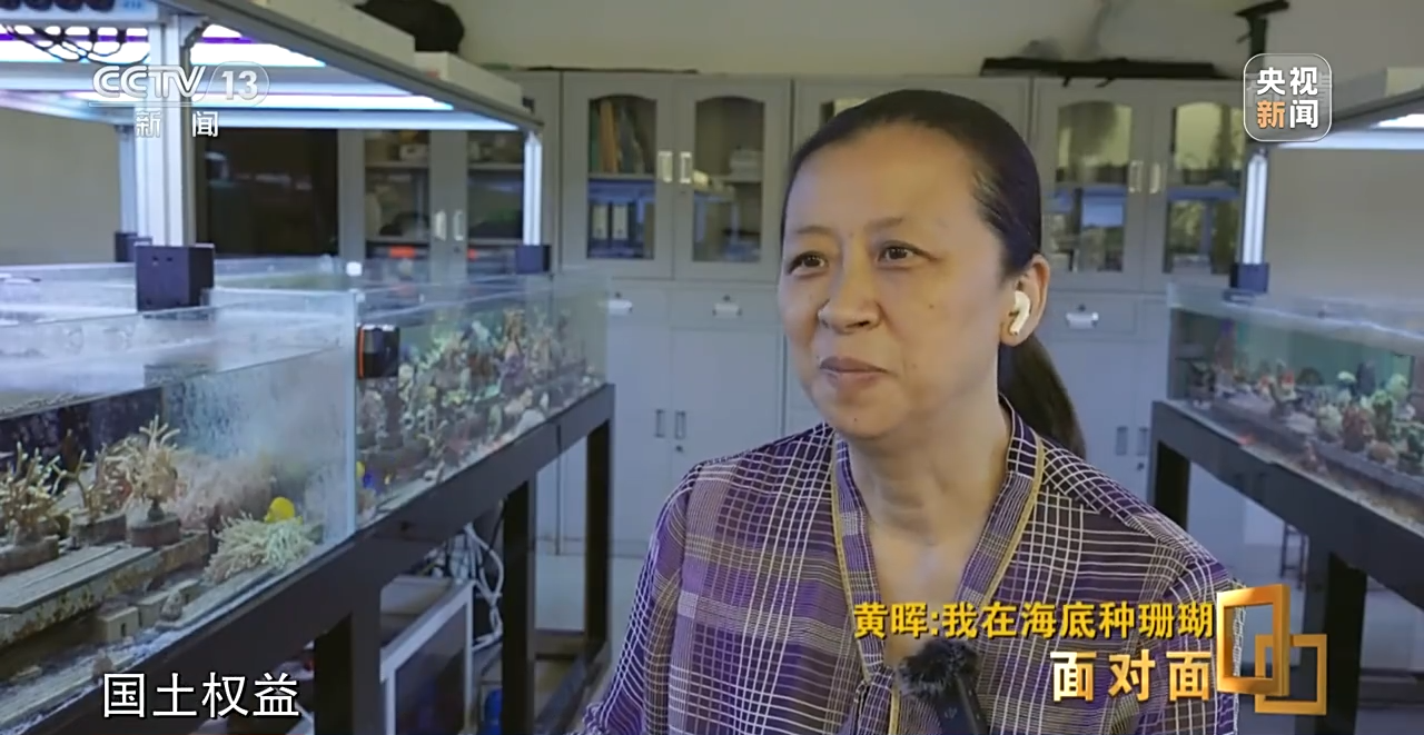 面對(duì)面丨“珊瑚媽媽”黃暉:種出一片“海底森林”