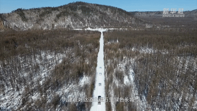 ������߅����������¡�ϵ��΢�o(j��)�Ƭ�ڶ��������l(w��i)�ڱ����ֺ���