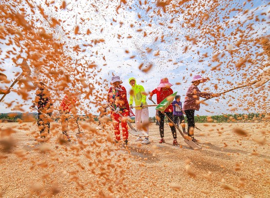 �r(n��ng)���Ո����r(n��ng)ƽ���£��Ї��Zʳ���ŏ������