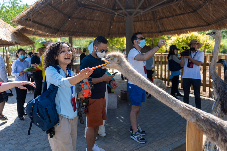 ���Ї��мs��ˮɳһɫɳ���� ���B������˼?x��)w