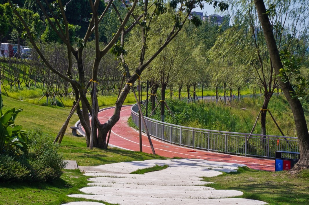 【發(fā)現(xiàn)最美 你評(píng)我論】重慶:“兩江四岸”治理升級(jí) 消落帶變身“網(wǎng)紅打卡地”