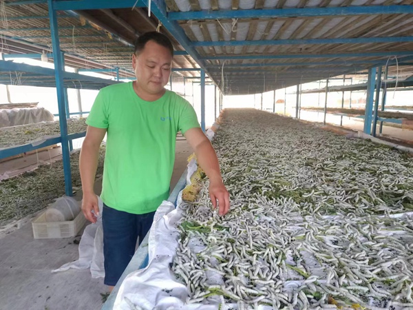 ���߿��������Q����ѩɏ�z