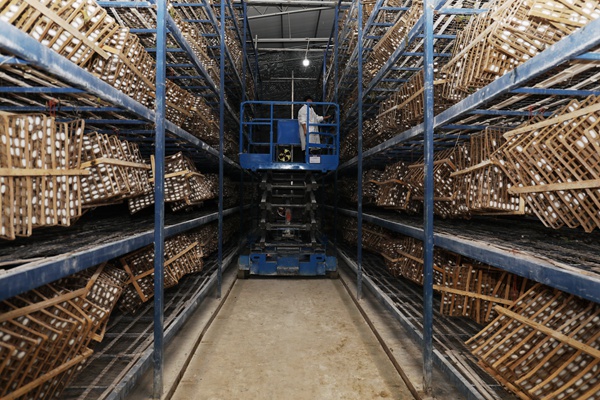 �����ˆT���Q�����Q���а��(zh��n)�a(ch��n)�I(y��)�k���D