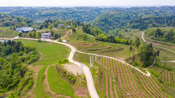 �Qɣ�Nֲ�����BD���а��(zh��n)�a(ch��n)�I(y��)�k���D