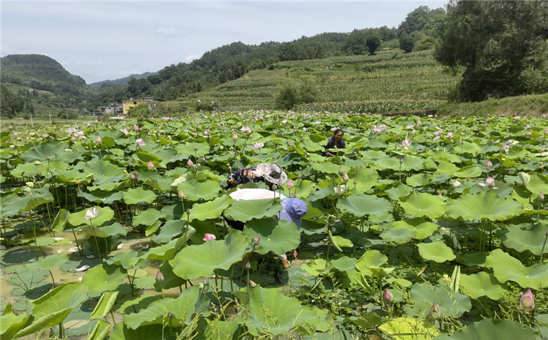 ����ϣ������Ұ�ϡ��ؑc��ˮ��һ������һ���ˡ��L���¸��{(l��n)�D