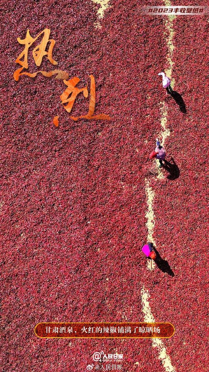 ����S�մ���������˱ڼ�