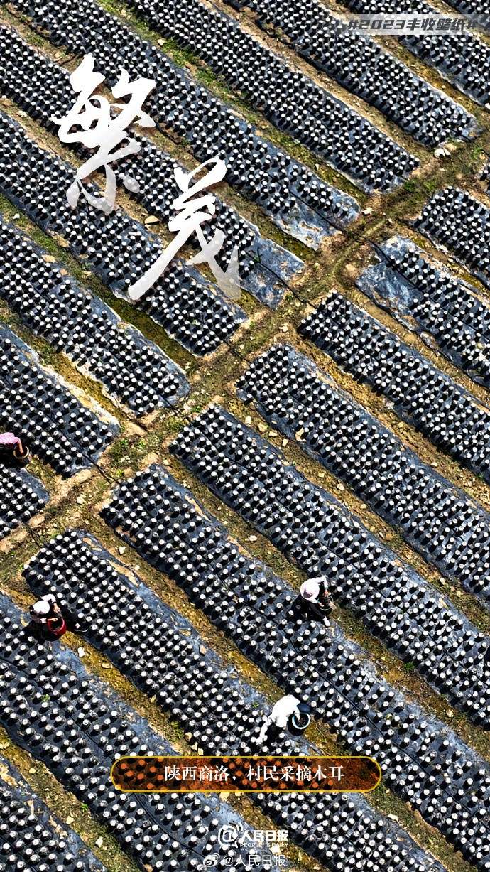 ����S�մ���������˱ڼ�