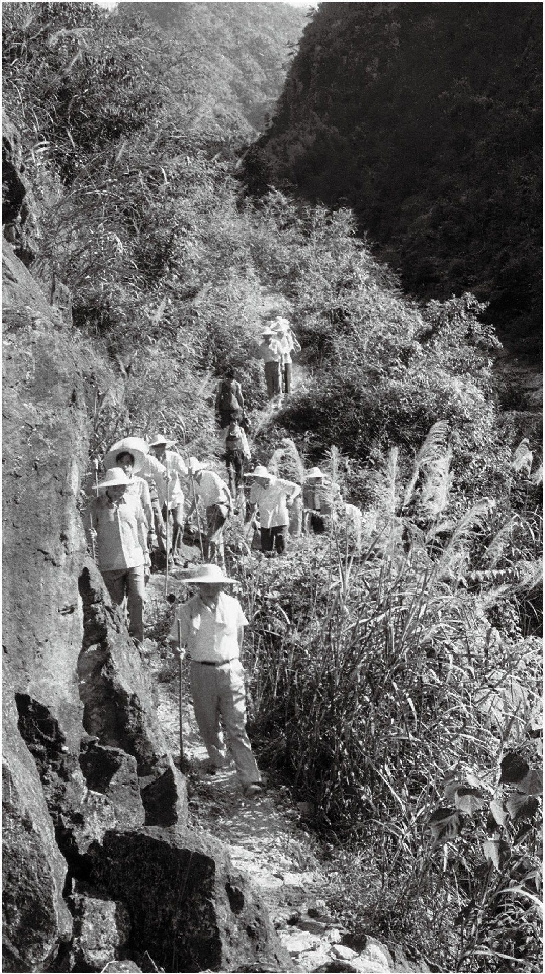 1989��7�£���(x��)��ƽһ�е��ی��h���h�l(xi��ng)�{(di��o)����