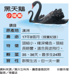 �����Z �_�����d��W(xu��) �_��