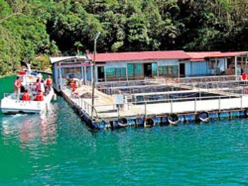 ����̶���ݽ����(l��i)������ӣ���(du��)���^��ˮ���������ɘO�����_���DƬ��(l��i)Դ���_(t��i)�����Ї�(gu��)�r(sh��)��(b��o)��