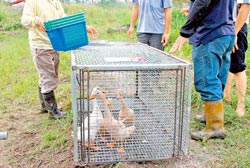 ���{�F�\������͵Ĳ���\���DƬ��Դ���_�����Ї��r��