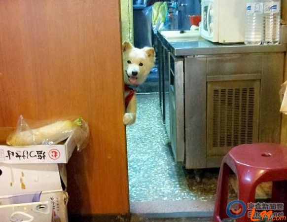  �I(l��ng)�B(y��ng)����ُ�I���_�����˹�̽�^�u��������ȥ�ϰ�