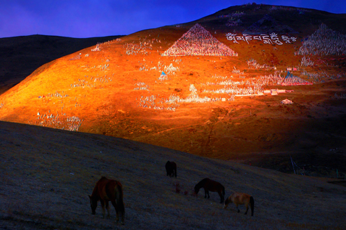 ���|(zh��)�ղ���Ʒ ���ڲ� �\�C���A