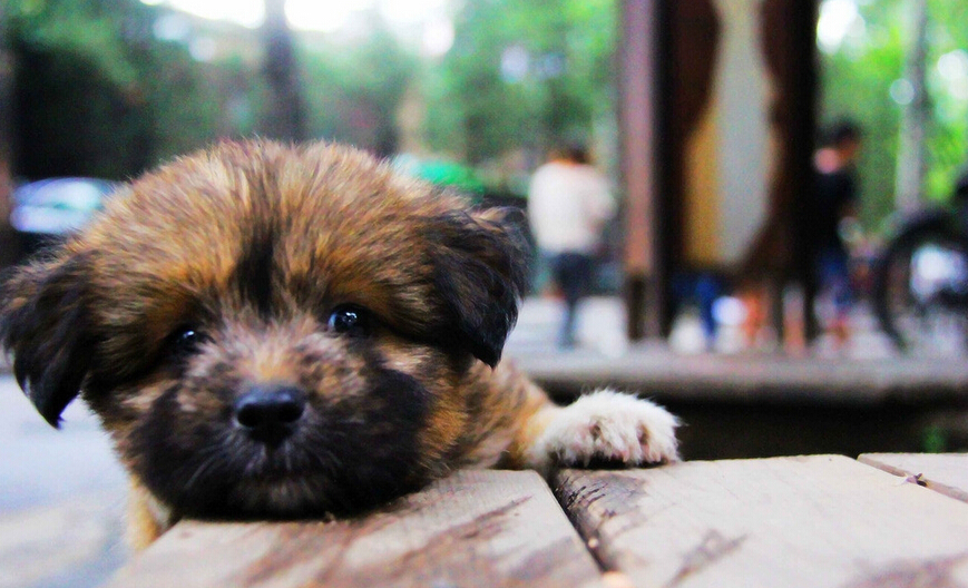 �û������J(r��n)�B(y��ng)��܇ ��������l(f��)�]��(��i)���x�S�J(r��n)�B(y��ng)