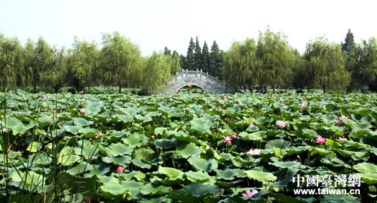 31�����ɰ�ý�wǰ����ɽ�����[�f������������ɽҰ���ɻ�������