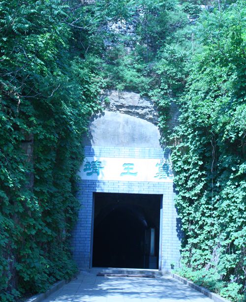 ����Ĺ�ڣ��Ї��_���W ���Կ��z��