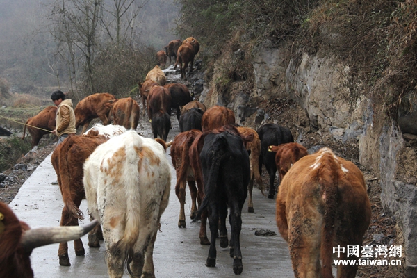 �����L�����(zh��n)���P(gu��n)���B(y��ng)������ؚ�����J���B(y��ng)ֳ��ţ�����Ї��_(t��i)���W(w��ng) ������ �z��