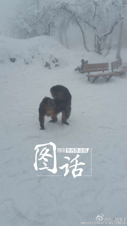 ιʳ���M���� �܂����Ӷ���ž��