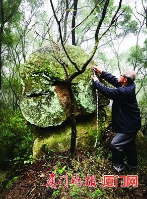 ͬ����݆ɽ�ϵĺ�ʯ��