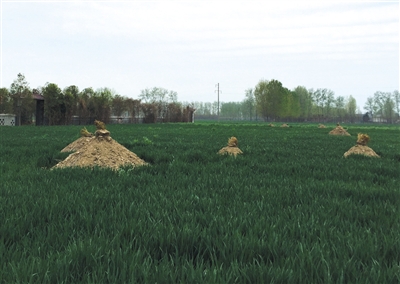 ���켯����r(n��ng)�������������˱���ĉ��^��