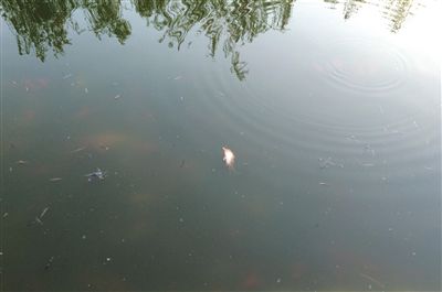 �Ҳ��������:����۷������� �з����c���TƱ