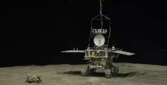 與孤獨(dú)斗爭972天 那只頑強(qiáng)的兔子永遠(yuǎn)離開了我們