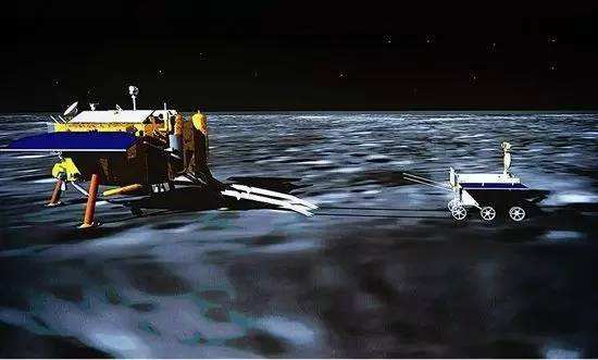 與孤獨(dú)斗爭972天 那只頑強(qiáng)的兔子永遠(yuǎn)離開了我們