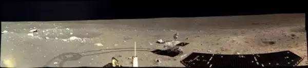 與孤獨(dú)斗爭972天 那只頑強(qiáng)的兔子永遠(yuǎn)離開了我們