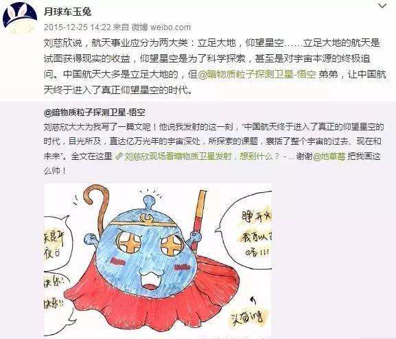 與孤獨(dú)斗爭972天 那只頑強(qiáng)的兔子永遠(yuǎn)離開了我們