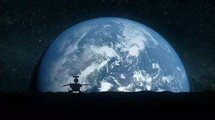 與孤獨(dú)斗爭972天 那只頑強(qiáng)的兔子永遠(yuǎn)離開了我們