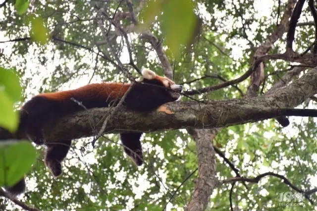 ���ݡ��ܺ��ӡ�Խ�z���� ��������ץ