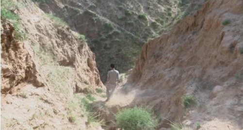 ȥ�����еĺ�������Ҫ��(j��ng)�^(gu��)һ����ʮ�����ɽ������(du��)������(l��i)�f(shu��)���s������ƽ����