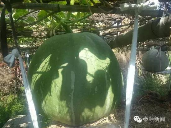 ����1���˷N��5�w�ޟo���Ϲ� ���һ��(g��)�χ��_(d��)1��67