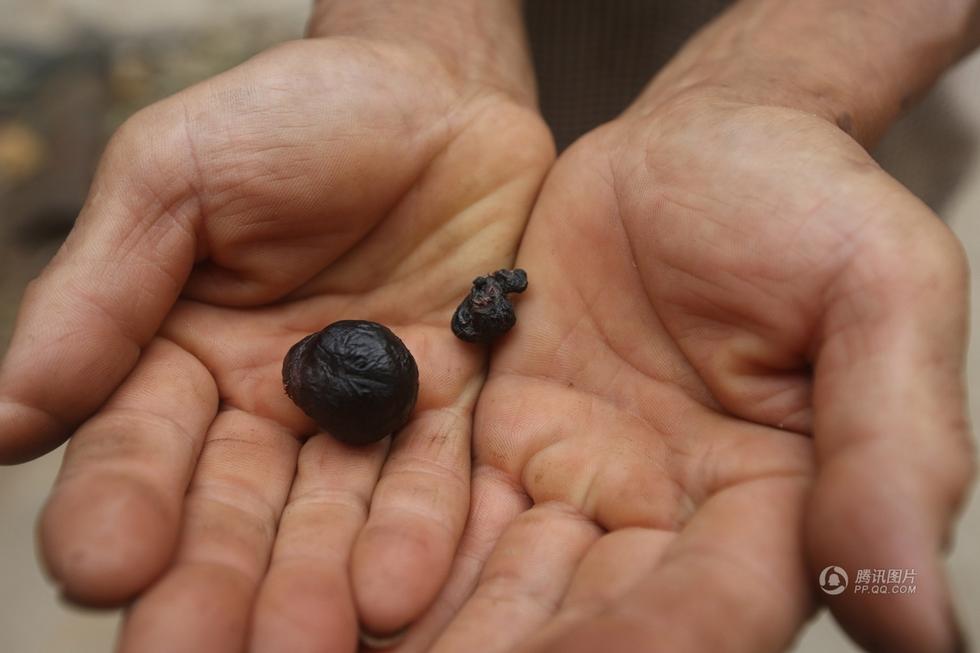 ���һĸ�u���겻�µ� �u����ȡ������ؐ����