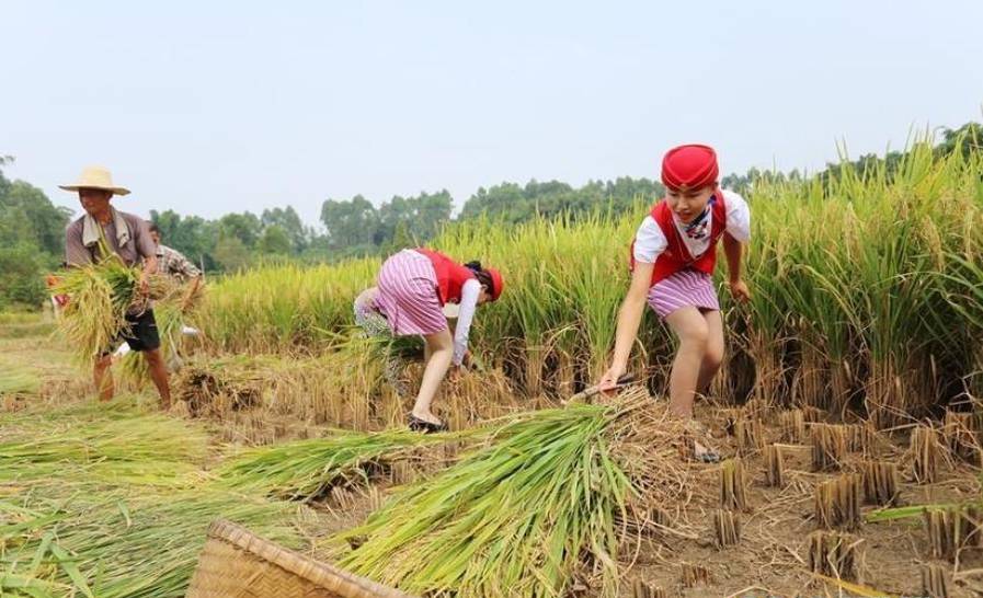 �Ĵ��ʿս㴩�Ʒ�ȹ�M�r(n��ng)���յ���