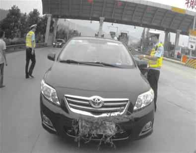 女司機(jī)用草根遮擋號(hào)牌 涉事司機(jī):被風(fēng)吹的