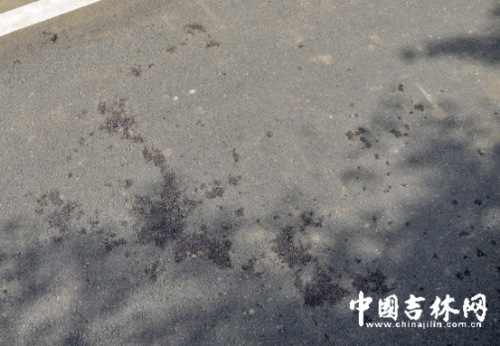 吉大砍人案致1死1傷 受害者死前大喊他手里有刀 吉大砍人案致1死1傷 受害者死前大喊他手里有刀