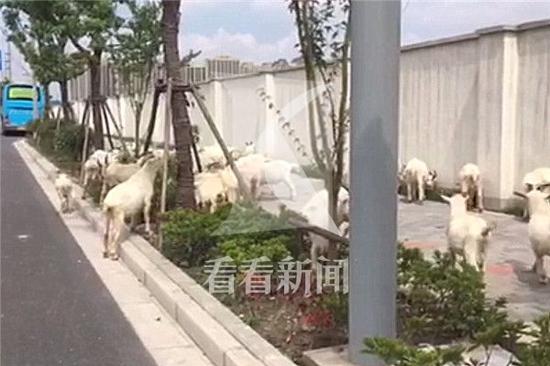 Ⱥ����F(xi��n)����ߖ|·����·��·�����ƺ�ʎʎ����·���e��