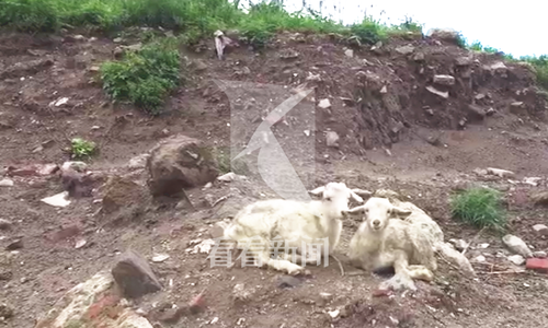 ���ڳԲݵ���