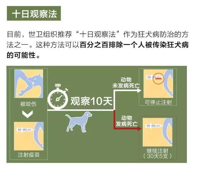 ��Ȯ�������ʽӽ�100%���˽��@Щ֪�R׌���h�x����