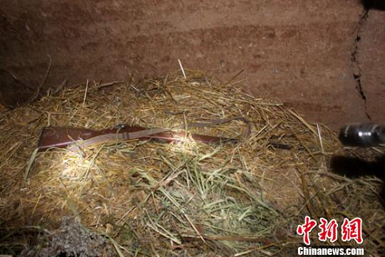 ���������˲�����݃�(n��i)�ݶ����ѳ��Ę�֧�� ���񾯷����D