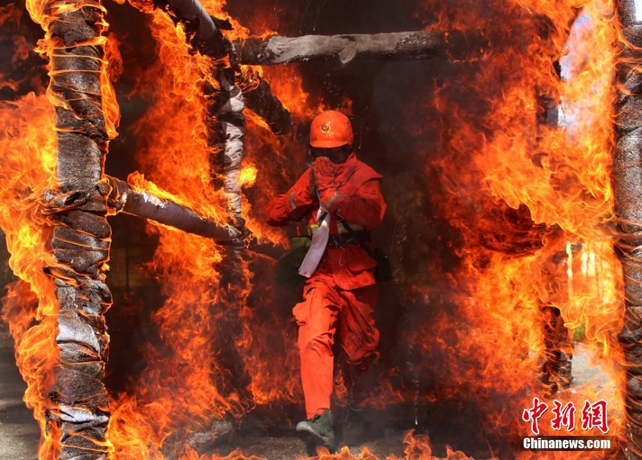 ���Cɭ������(zh��n)��Ӗ����Խ����