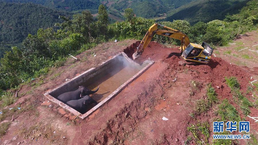 ����ˮ�������Ԯӛ����ֱ���C(j��)���ھ�C(j��)݆���ψ�(ch��ng)(�M�D)