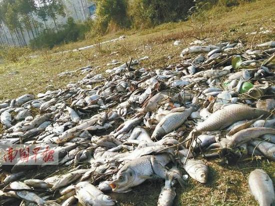 ������������~�� �~�������D