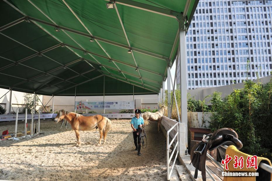 ����һ�̈�픘ǬF(xi��n)���R�g(sh��)�\�ӈ��� �����w�����T�R