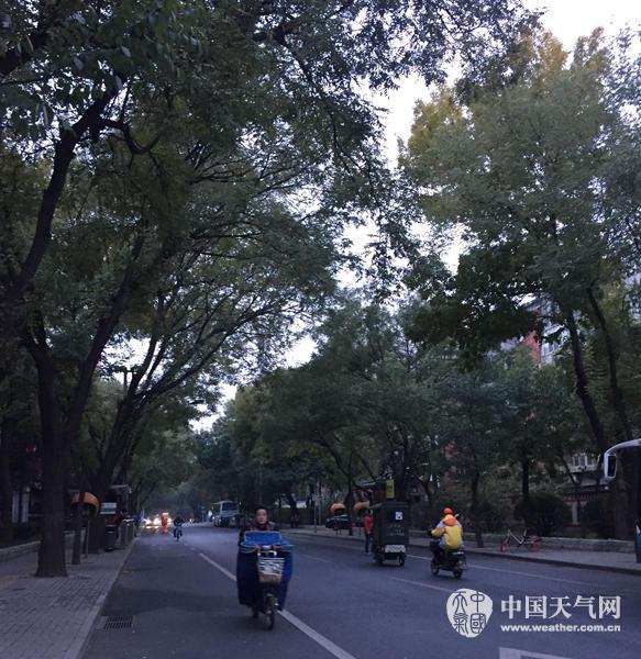 7���糿�����������F����ɢ��������^������������������������� �z��