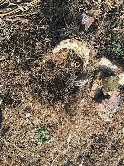 ���x�°l(f��)�ز��h(yu��n)̎,һ�ھ����ѽ�(j��ng)�Ɠp�Ŀݾ�,�����ڻĲ��g