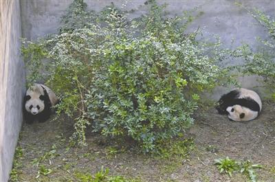 ����������݆�����󣩺͡����J������؈�z�߈�(ch��ng) �zӰ