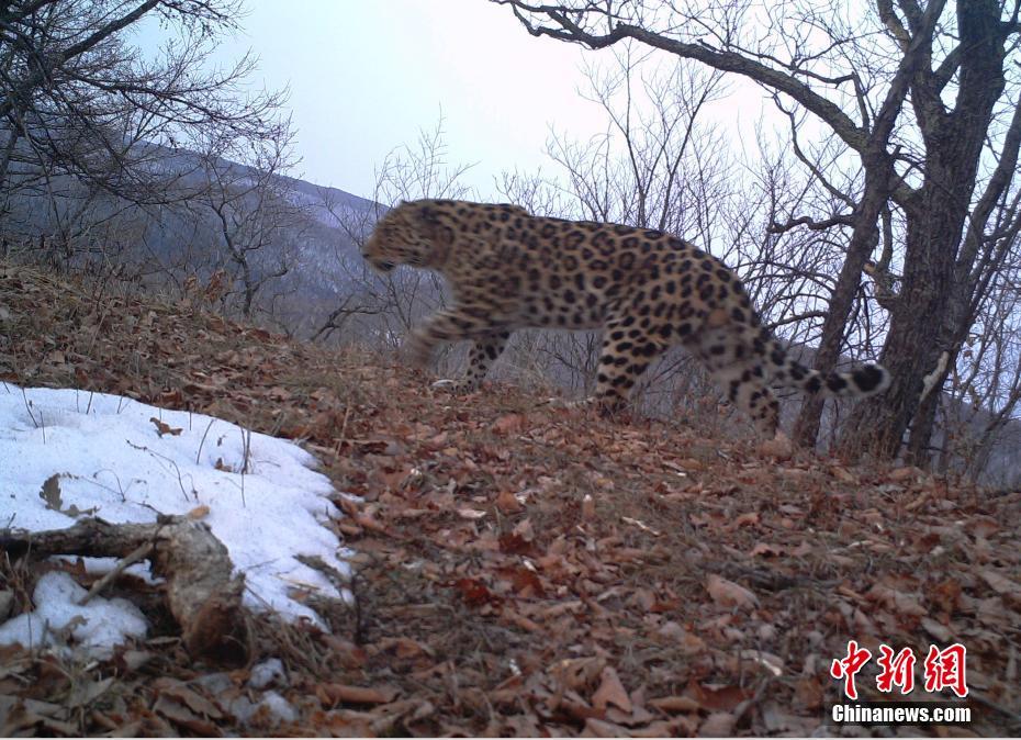 �������Ϡ��X�|���������E�M(j��n)��O(ji��n)�y(c��)�ԁ�����S��